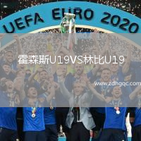 霍森斯U19VS林比U19