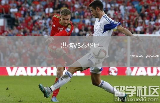 洪格VS泰華尼
