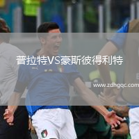 普拉特VS豪斯彼得利特