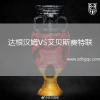 達根漢姆VS艾貝斯費特聯(lián)
