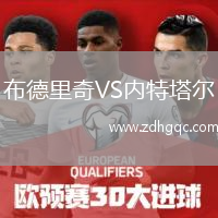 布德里奇VS內(nèi)特塔爾