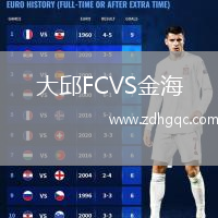 大邱FCVS金海