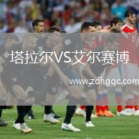 塔拉爾VS艾爾賽博