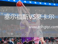 塞爾福斯VS豪卡爾
