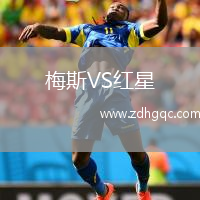 梅斯VS紅星