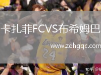 卡扎菲FCVS布希姆巴