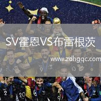 SV霍恩VS布雷根茨