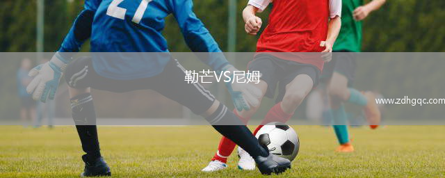 勒芒VS尼姆