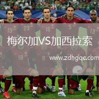梅爾加VS加西拉索