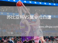 蘇比亞科VS黛安拉白鷹