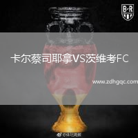 卡爾蔡司耶拿VS茨維考FC
