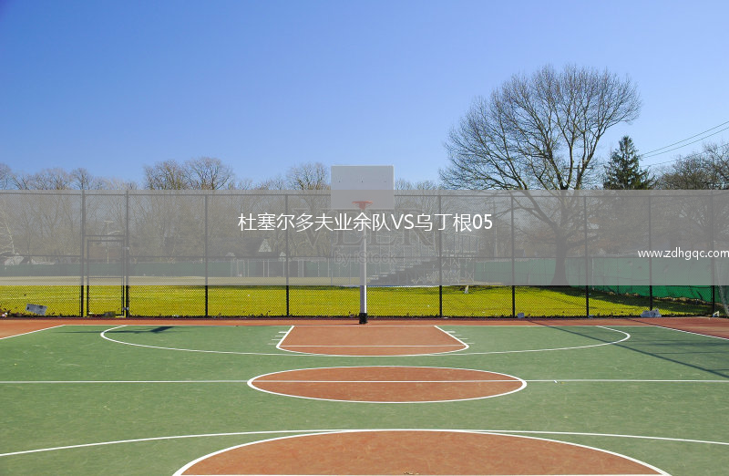 杜塞爾多夫業(yè)余隊VS烏丁根05