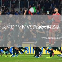 文萊DPMMVS新潟天鵝乙隊