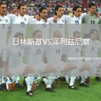 日林斯基VS澤列茲尼察