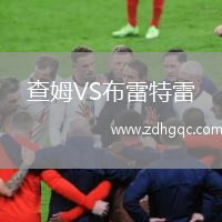 查姆VS布雷特雷