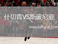 什切青VS斯波尼亞
