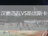 漢德洛瓦VS斯比斯卡