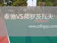 泰馳VS弗羅茨瓦夫
