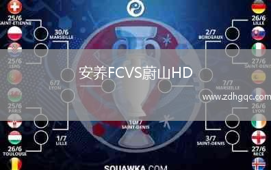安養(yǎng)FCVS蔚山HD