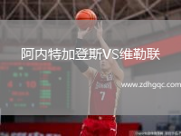 阿內(nèi)特加登斯VS維勒聯(lián)
