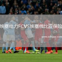 埃塞電力FCVS埃塞俄比亞保險