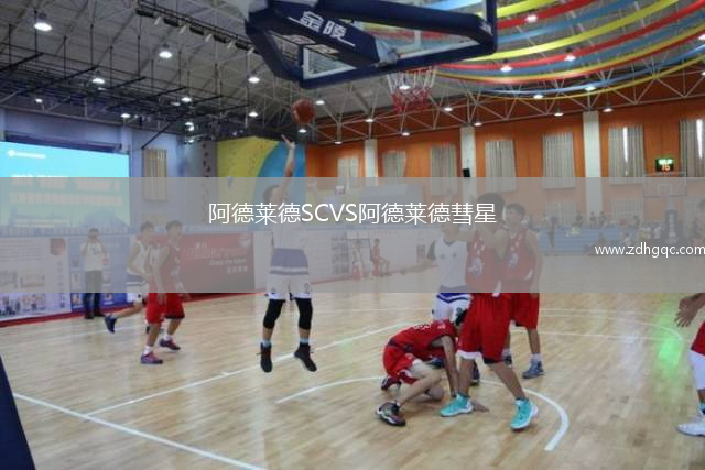阿德萊德SCVS阿德萊德彗星