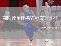 南阿德萊德黑豹VS東部小牛