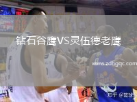 鉆石谷鷹VS靈伍德老鷹
