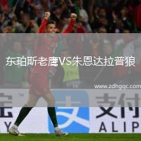 東珀斯老鷹VS朱恩達(dá)拉普狼