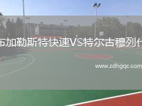 布加勒斯特快速VS特爾古穆列什
