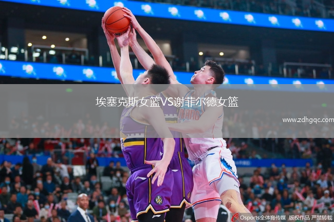 埃塞克斯女籃VS謝菲爾德女籃