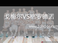 戈梅爾VS格羅德諾