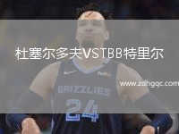 杜塞爾多夫VSTBB特里爾