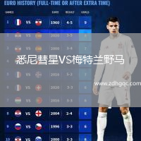 悉尼彗星VS梅特蘭野馬