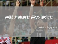 費(fèi)耶諾德鹿特丹VS維爾特