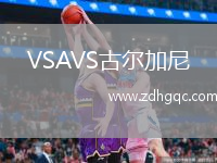 VSAVS古爾加尼