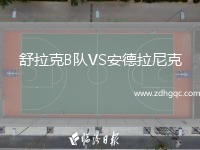 舒拉克B隊(duì)VS安德拉尼克