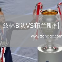 茲林B隊VS布蘭斯科