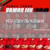 阿莎芬堡VS施韋因富特