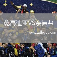 乾高迪亞VS奈德弗