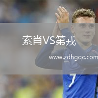 索肖VS第戎