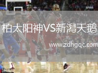 柏太陽(yáng)神VS新潟天鵝