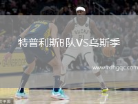 特普利斯B隊VS烏斯季