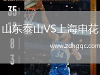 山東泰山VS上海申花
