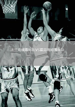 法蘭克福青年隊(duì)VS霍芬海姆青年隊(duì)