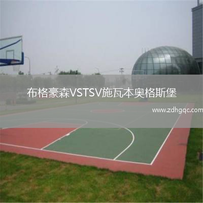 布格豪森VSTSV施瓦本奧格斯堡