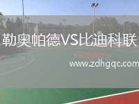 勒奧帕德VS比迪科聯(lián)