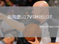 施克堡U17VS林比U17