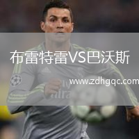 布雷特雷VS巴沃斯