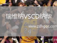 瑞維納VSCD納華
